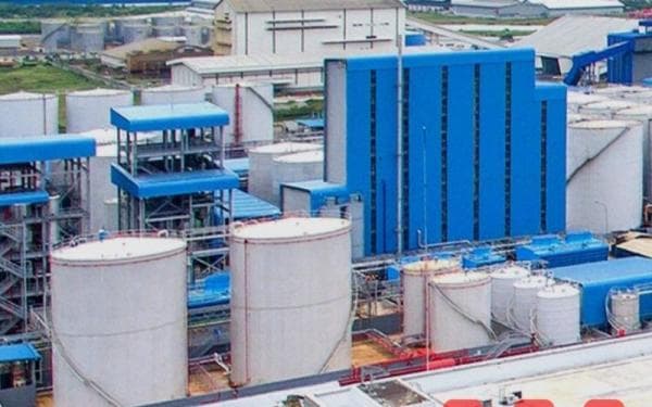 Erwin Tanuwidjaja Borong 18,93 Juta Saham PBSA, Gelontor Dana Rp5,64 Miliar Erwin Tanuwidjaja Borong 18,93 Juta Saham PBSA, Gelontor Dana Rp5,64 Miliar