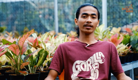 Kisah Sukses Petani Gen Z, Bisa Bayar Kuliah Sampai Lulus Berkat Bisnis Tanaman Hias Kisah Sukses Petani Gen Z, Bisa Bayar Kuliah Sampai Lulus Berkat Bisnis Tanaman Hias