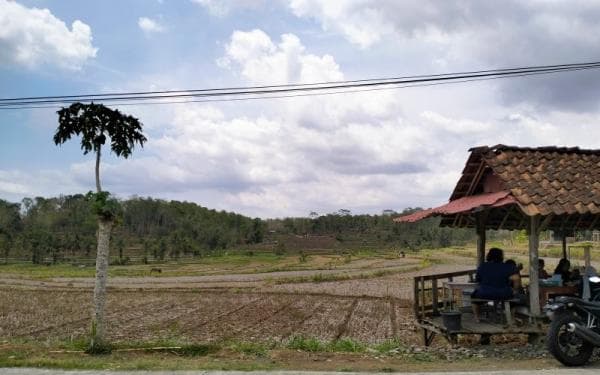 Pariwisata Gunungkidul Jadi Magnet Investor, Alih Fungsi Lahan Capai 10.000 Hektare Pariwisata Gunungkidul Jadi Magnet Investor, Alih Fungsi Lahan Capai 10.000 Hektare