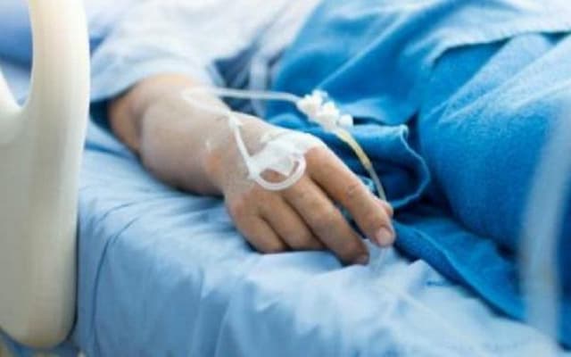 DBD Bisa Sebabkan Perdarahan Otak hingga Stroke, Ini Penjelasan Dokter DBD Bisa Sebabkan Perdarahan Otak hingga Stroke, Ini Penjelasan Dokter