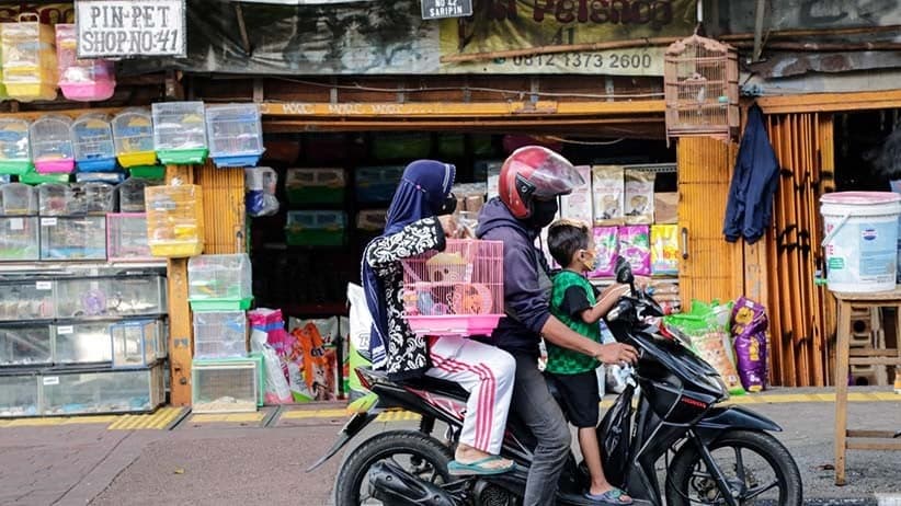 Praktik Monopoli Kios di Pasar Barito Jaksel: 1 Pedagang Kuasai hingga 15 Unit Praktik Monopoli Kios di Pasar Barito Jaksel: 1 Pedagang Kuasai hingga 15 Unit