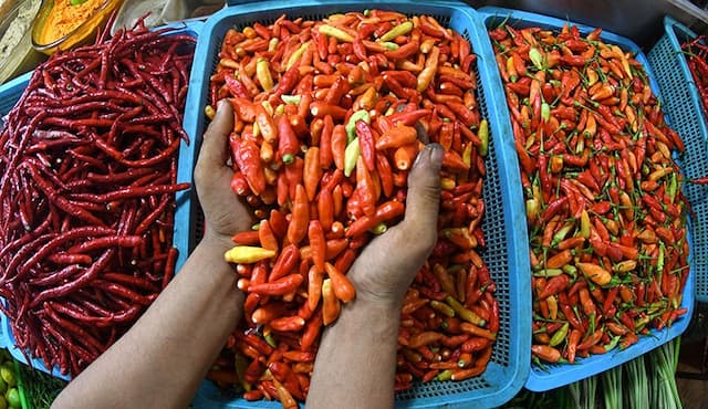 Mendag Ungkap Penyebab Harga Cabai Rawit Merah Masih Mahal usai Lebaran Mendag Ungkap Penyebab Harga Cabai Rawit Merah Masih Mahal usai Lebaran