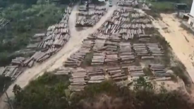 Satgas PKH Tagih Denda 71 Korporasi yang Sulap Hutan Jadi Lahan Sawit-Tambang Satgas PKH Tagih Denda 71 Korporasi yang Sulap Hutan Jadi Lahan Sawit-Tambang