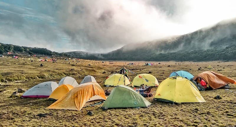 Pendakian Gunung Gede Pangrango Ditutup hingga 12 April 2026, Ini Alasannya Pendakian Gunung Gede Pangrango Ditutup hingga 12 April 2026, Ini Alasannya