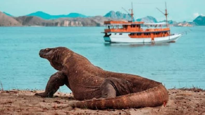 Pemerintah Batasi Kunjungan Wisata ke TN Komodo, Kuota Hanya 1.000 Orang per Hari Pemerintah Batasi Kunjungan Wisata ke TN Komodo, Kuota Hanya 1.000 Orang per Hari