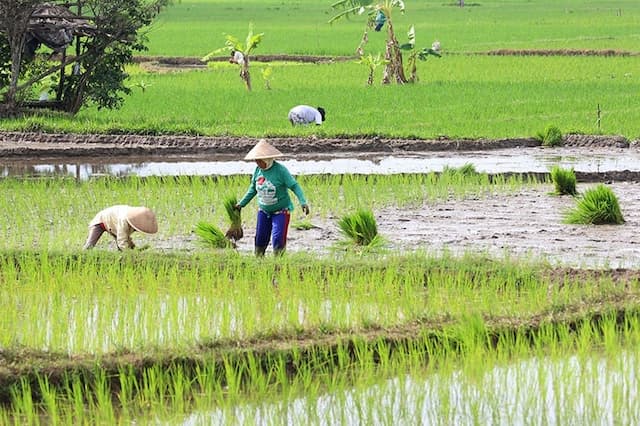 Hore! Pemerintah bakal Kasih Modal Tanah untuk Orang Miskin, Ini Lokasinya Hore! Pemerintah bakal Kasih Modal Tanah untuk Orang Miskin, Ini Lokasinya