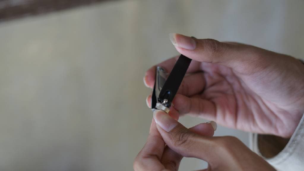 Kapan Mulai Tidak Boleh Potong Kuku bagi yang Berkurban? Ini Penjelasan Ulama Kapan Mulai Tidak Boleh Potong Kuku bagi yang Berkurban? Ini Penjelasan Ulama
