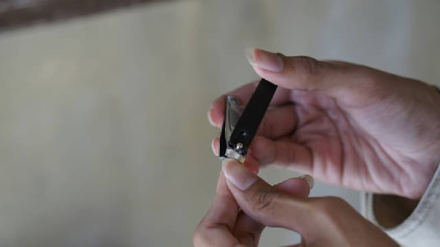 Kapan Mulai Tidak Boleh Potong Kuku bagi yang Berkurban? Ini Penjelasan Ulama Kapan Mulai Tidak Boleh Potong Kuku bagi yang Berkurban? Ini Penjelasan Ulama