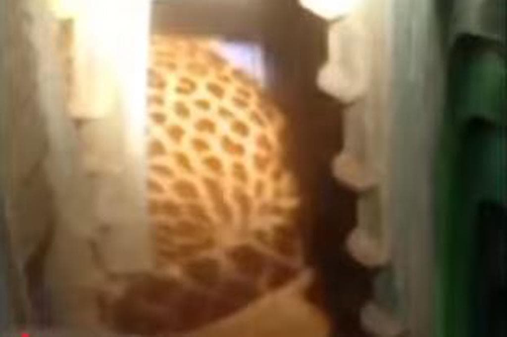 Heboh Macan Tutul Lepas dari Kandang di Bandung, Ini Kata Pengelola Lembang Park Heboh Macan Tutul Lepas dari Kandang di Bandung, Ini Kata Pengelola Lembang Park