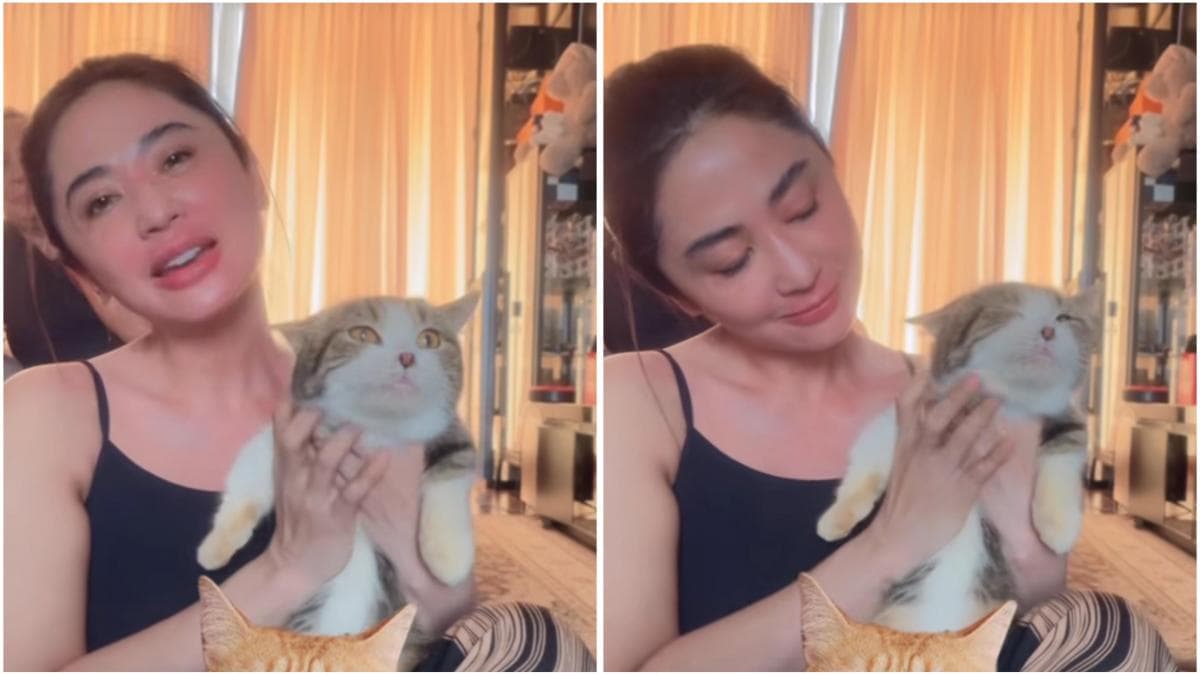 Dewi Perssik Rawat Kucing Eko Patrio, Banjir Pujian Dewi Perssik Rawat Kucing Eko Patrio, Banjir Pujian