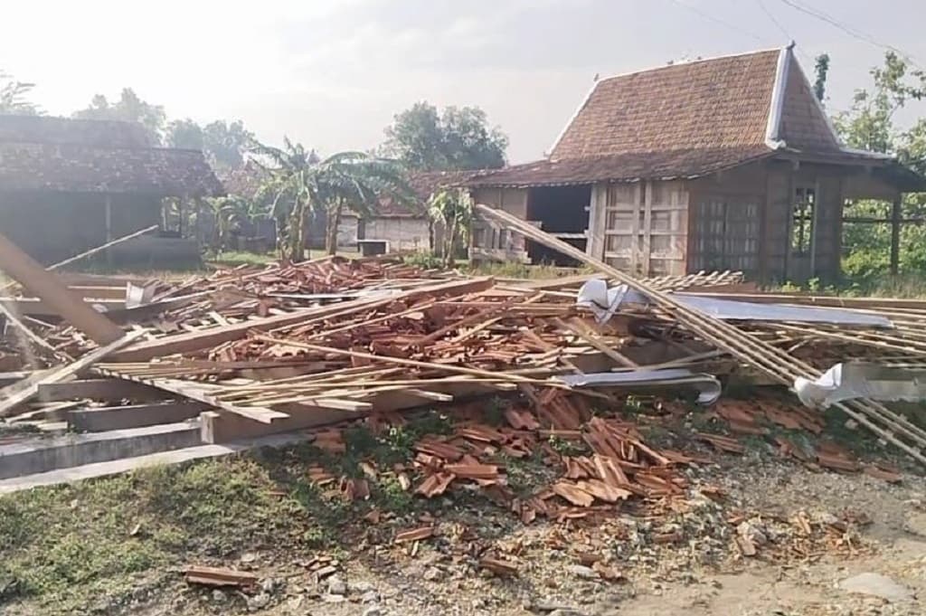 Bencana Angin Puting Beliung di Grobogan, 7 Rumah Roboh hingga Banyak Pohon Tumbang Bencana Angin Puting Beliung di Grobogan, 7 Rumah Roboh hingga Banyak Pohon Tumbang