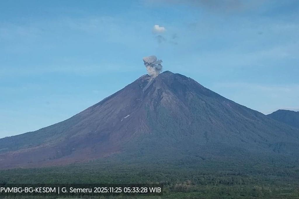 Gunung Semeru Meletus 16 Kali Sejak Dini Hari, PVMBG Ingatkan Bahaya Awan Panas dan Lahar Dingin Gunung Semeru Meletus 16 Kali Sejak Dini Hari, PVMBG Ingatkan Bahaya Awan Panas dan Lahar Dingin