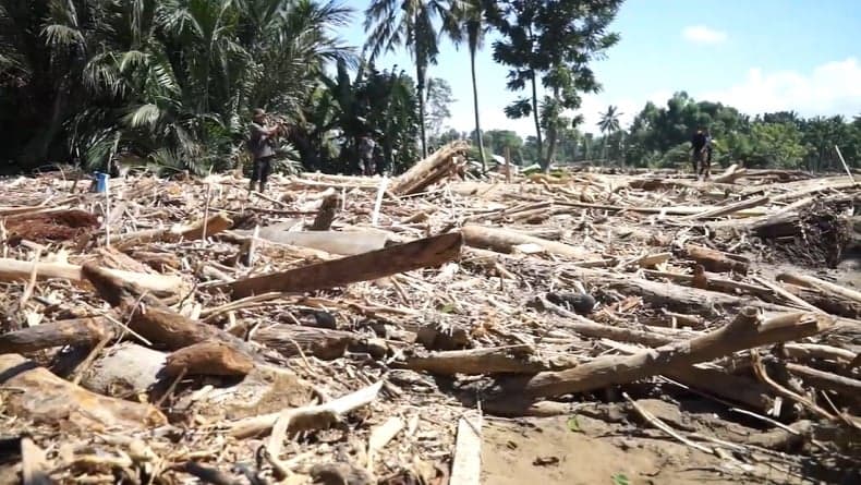 Selidiki Kayu Gelondongan Terseret Banjir Sumatera, Satgas PKH Lakukan Analisis Citra Satelit Selidiki Kayu Gelondongan Terseret Banjir Sumatera, Satgas PKH Lakukan Analisis Citra Satelit