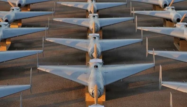 Spesifikasi Drone LUCAS Amerika yang Dibikin Khusus untuk Cegat Drone Kamikaze Shahed Iran Spesifikasi Drone LUCAS Amerika yang Dibikin Khusus untuk Cegat Drone Kamikaze Shahed Iran