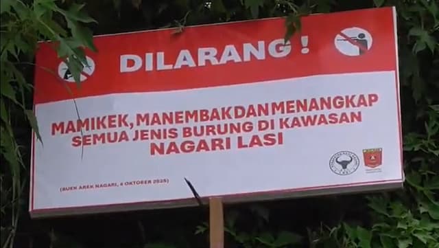 Warga Nagari Lasi Sumbar Tetapkan Sumpah Adat, Larang Tebang Pohon dan Berburu Burung Warga Nagari Lasi Sumbar Tetapkan Sumpah Adat, Larang Tebang Pohon dan Berburu Burung