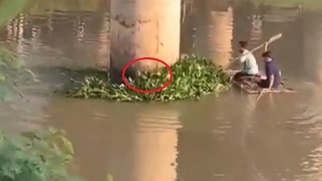 Tepergok Warga, Maling Motor di Karawang Nekat Sembunyi 10 Jam di Tumpukan Eceng Gondok Tepergok Warga, Maling Motor di Karawang Nekat Sembunyi 10 Jam di Tumpukan Eceng Gondok