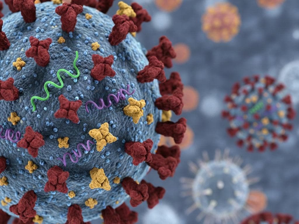 Influenza H3N2 Subclade K Masuk Indonesia, Kemenkes: Masih Terkendali Influenza H3N2 Subclade K Masuk Indonesia, Kemenkes: Masih Terkendali