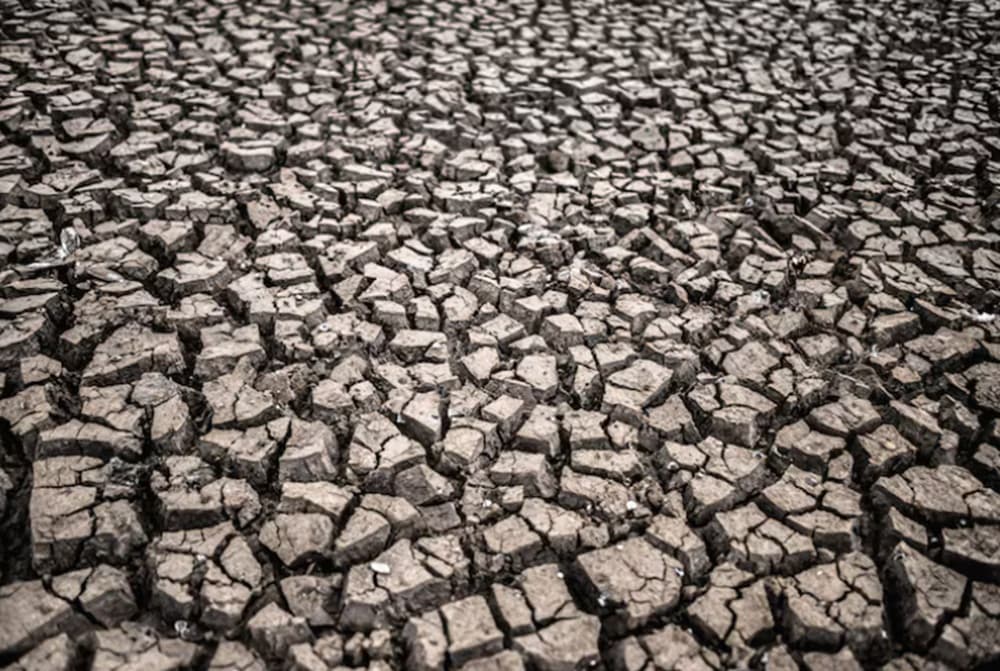 Kekeringan Mengintai, Kementan Minta Petani Optimalkan Pompa Air Kekeringan Mengintai, Kementan Minta Petani Optimalkan Pompa Air