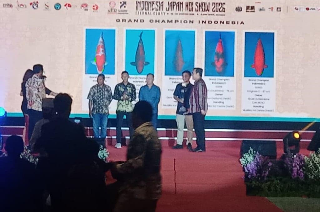 IJKS 2026 Digelar di Bogor, Angkat Industri Koi Lokal hingga Pererat Persahabatan RI-Jepang IJKS 2026 Digelar di Bogor, Angkat Industri Koi Lokal hingga Pererat Persahabatan RI-Jepang