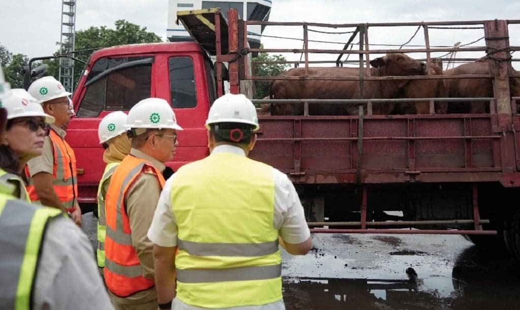 Pemprov Jakarta Impor 3.100 Sapi dari Australia, Pramono Yakin Stok Daging Aman Pemprov Jakarta Impor 3.100 Sapi dari Australia, Pramono Yakin Stok Daging Aman