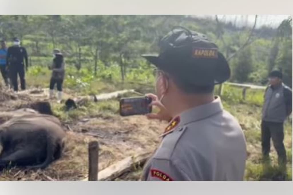 Anak Gajah Mati Kena Jerat di TN Tesso Nilo, Kapolda Riau Turun Tangan Anak Gajah Mati Kena Jerat di TN Tesso Nilo, Kapolda Riau Turun Tangan