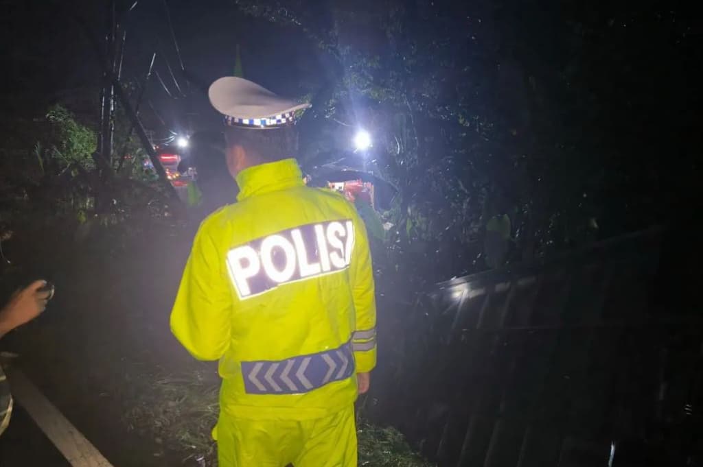 Kecelakaan Bus Terperosok Masuk Jurang di Lahat Sumsel Kecelakaan Bus Terperosok Masuk Jurang di Lahat Sumsel