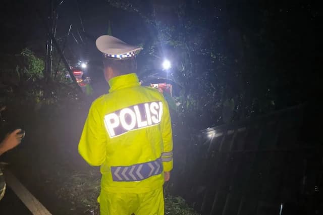 Kecelakaan Bus Terperosok Masuk Jurang di Lahat Sumsel Kecelakaan Bus Terperosok Masuk Jurang di Lahat Sumsel