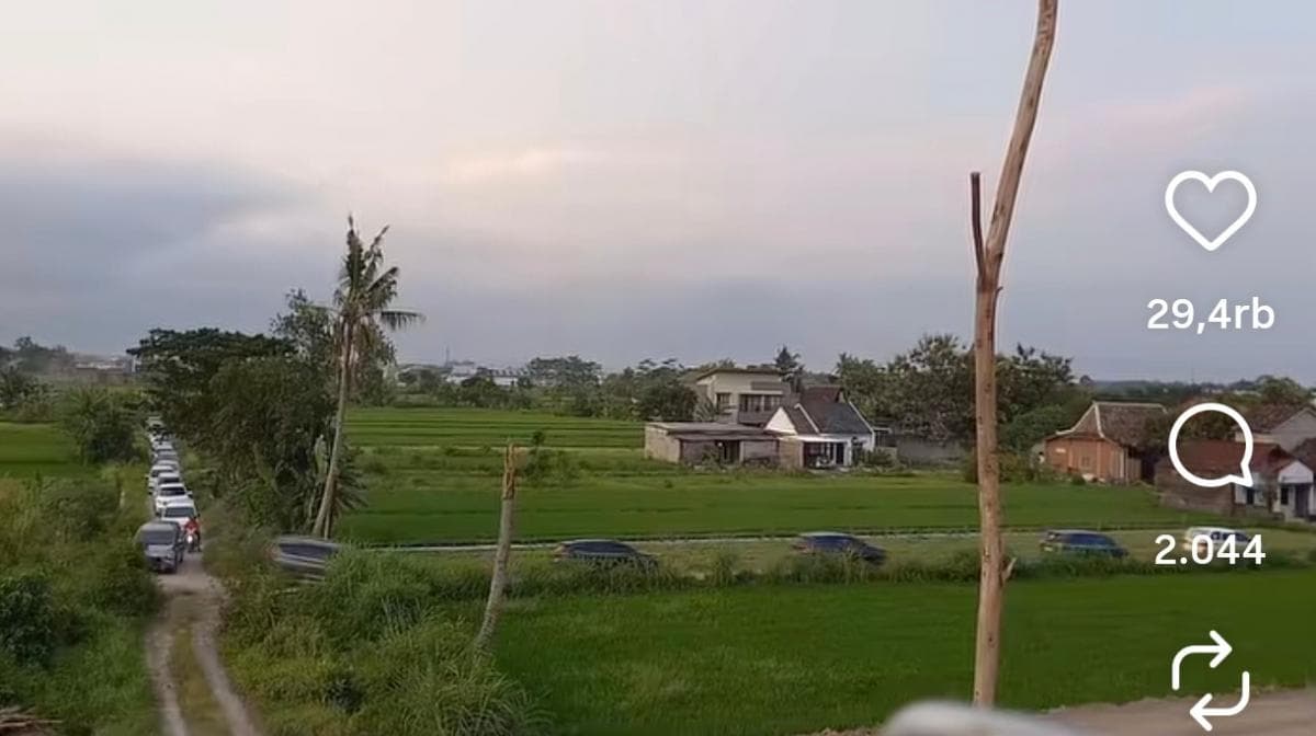 Viral! Ratusan Mobil Pemudik Tersesat ke Sawah Gara-Gara Google Maps Viral! Ratusan Mobil Pemudik Tersesat ke Sawah Gara-Gara Google Maps