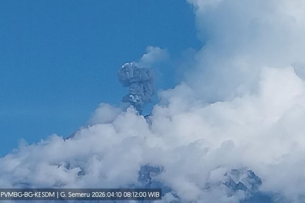 Gunung Semeru Meletus Hari Ini, Muntahkan Kolom Abu Setinggi 800 Meter Gunung Semeru Meletus Hari Ini, Muntahkan Kolom Abu Setinggi 800 Meter