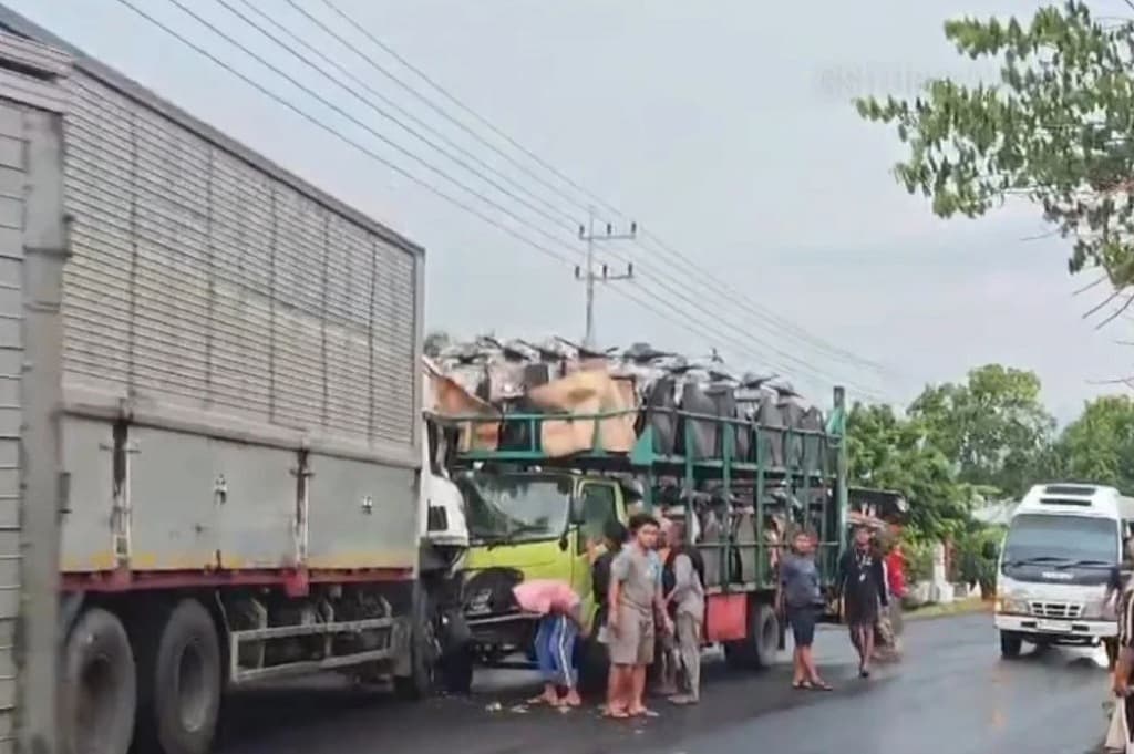 Kecelakaan di Jalur Pantura Situbondo, 2 Truk Bertabrakan Picu Kemacetan Kecelakaan di Jalur Pantura Situbondo, 2 Truk Bertabrakan Picu Kemacetan
