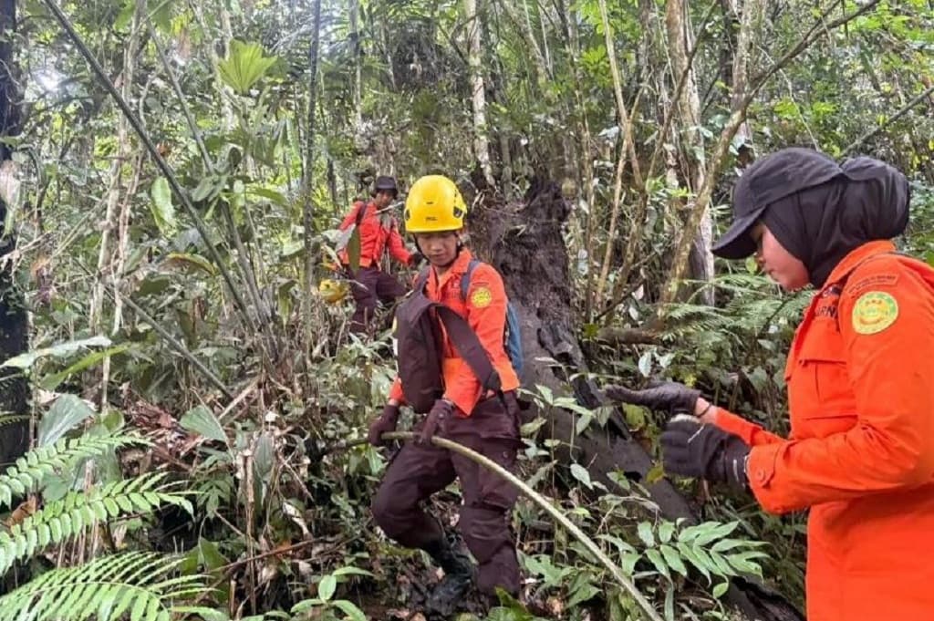 Remaja di Mamuju Hilang Misterius dalam Hutan Hampir 2 Minggu Remaja di Mamuju Hilang Misterius dalam Hutan Hampir 2 Minggu