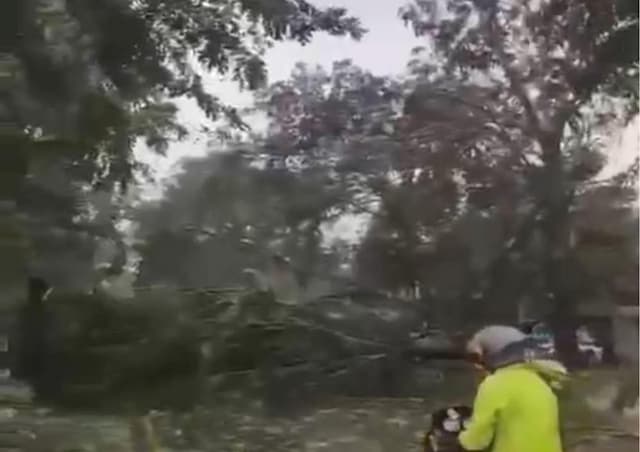 Hujan Badai Terjang Bekasi Bikin Pohon Tumbang hingga Rumah Rusak Hujan Badai Terjang Bekasi Bikin Pohon Tumbang hingga Rumah Rusak