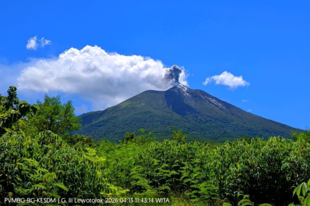 Gunung Ile Lewotolok di Lembata NTT Erupsi, Semburkan Abu Vulkanis 500 Meter ke Langit Gunung Ile Lewotolok di Lembata NTT Erupsi, Semburkan Abu Vulkanis 500 Meter ke Langit