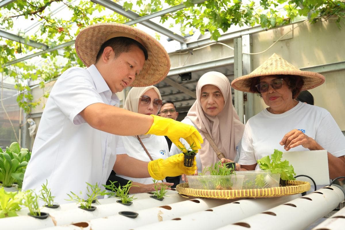 Inspiratif! KWT Buaran Citra Lestari Manfaatkan Lahan Sempit bersama Program BRInita Inspiratif! KWT Buaran Citra Lestari Manfaatkan Lahan Sempit bersama Program BRInita