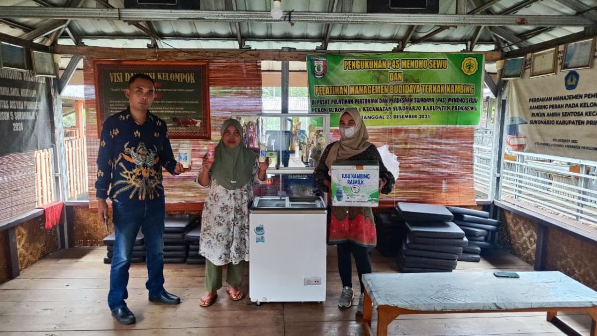 Capai 100 Ekor, Ini Kisah UMKM Susu Kambing Ras Farm Tumbuh Pesat berkat KUR BRI Capai 100 Ekor, Ini Kisah UMKM Susu Kambing Ras Farm Tumbuh Pesat berkat KUR BRI