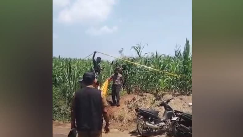 Olah TKP Mayat Pria di Kebun Jagung Jombang, Polisi Temukan HP dari Saku Korban Olah TKP Mayat Pria di Kebun Jagung Jombang, Polisi Temukan HP dari Saku Korban