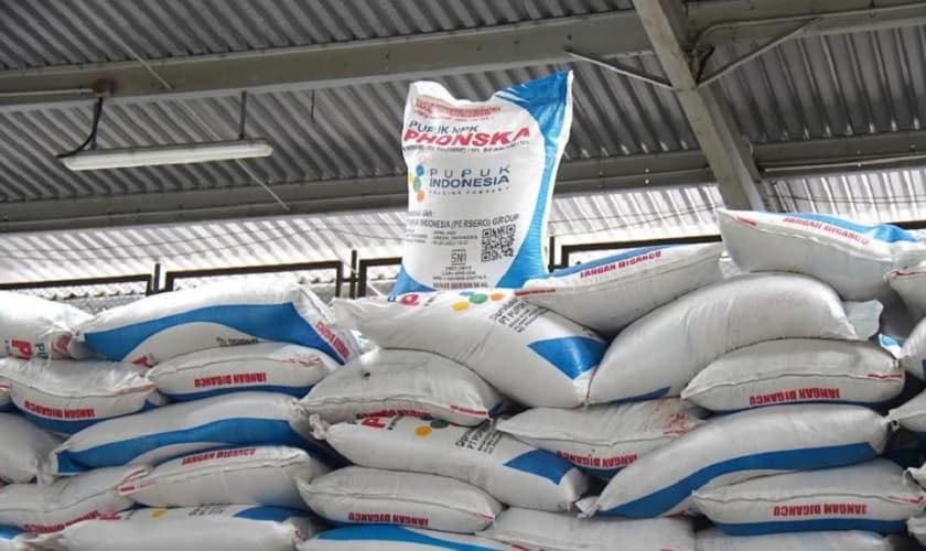 Prabowo Turunkan Harga Pupuk Subsidi 20 Persen untuk Petani Prabowo Turunkan Harga Pupuk Subsidi 20 Persen untuk Petani
