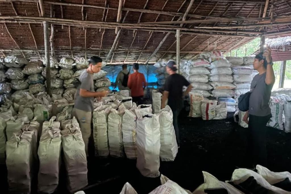 Polda Riau Tindak Perusak Hutan Mangrove di Meranti, Sita Ribuan Karung Arang Bakau Ilegal Polda Riau Tindak Perusak Hutan Mangrove di Meranti, Sita Ribuan Karung Arang Bakau Ilegal