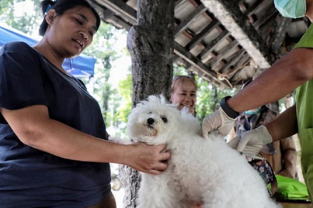 1.767 Hewan Divaksin Rabies di Jaksel: Kucing, Anjing hingga Kera 1.767 Hewan Divaksin Rabies di Jaksel: Kucing, Anjing hingga Kera