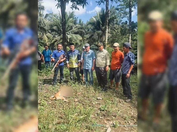 Geger! Anjing Gila Positif Rabies Gigit 8 Warga di Maros, Akhirnya Ditembak Mati Geger! Anjing Gila Positif Rabies Gigit 8 Warga di Maros, Akhirnya Ditembak Mati