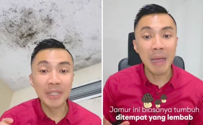 Jangan Anggap Sepele Bercak Hitam di Sudut Rumah, Dokter Ungkap Bahaya Black Mold Jangan Anggap Sepele Bercak Hitam di Sudut Rumah, Dokter Ungkap Bahaya Black Mold