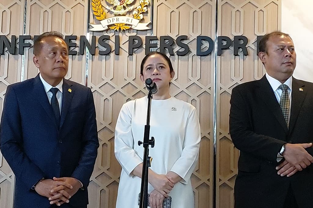 Puan Minta Pemerintah Tak Anggap Sepele Hantavirus, Jangan Sampai Terulang Seperti Covid-19 Puan Minta Pemerintah Tak Anggap Sepele Hantavirus, Jangan Sampai Terulang Seperti Covid-19
