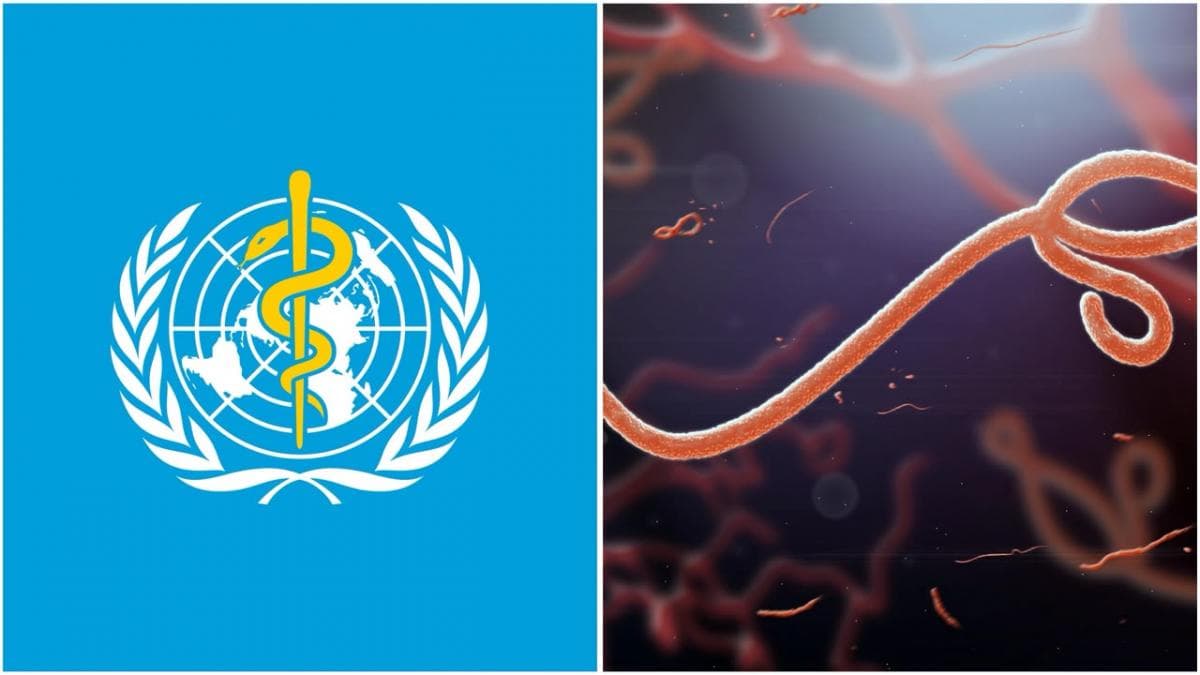 WHO Tetapkan Wabah Ebola sebagai Darurat Global, 80 Orang Meninggal Dunia WHO Tetapkan Wabah Ebola sebagai Darurat Global, 80 Orang Meninggal Dunia