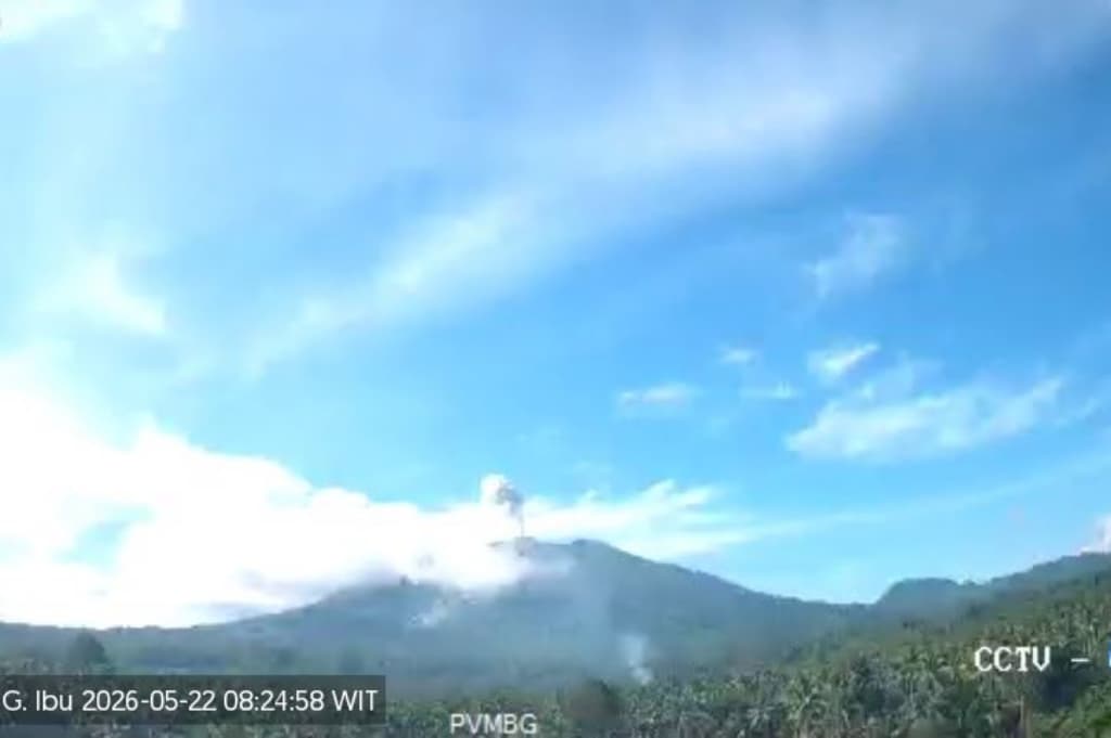 Gunung Ibu Erupsi Hari Ini, Abu Vulkanis Membubung Setinggi 500 Meter ke Langit Gunung Ibu Erupsi Hari Ini, Abu Vulkanis Membubung Setinggi 500 Meter ke Langit