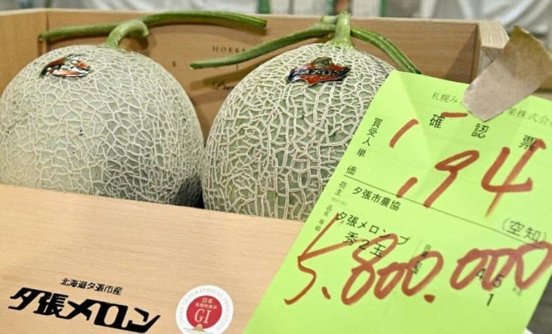 Rekor! Buah Melon Ini Terjual Rp644 Juta dalam Lelang Rekor! Buah Melon Ini Terjual Rp644 Juta dalam Lelang