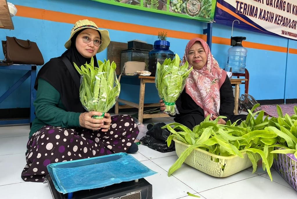 KWT Mawar 8 Bersama BRI Beri Manfaat Nyata, Hasil Panen Penuhi Kebutuhan Pangan Warga KWT Mawar 8 Bersama BRI Beri Manfaat Nyata, Hasil Panen Penuhi Kebutuhan Pangan Warga