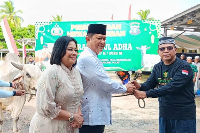 Polda Kalteng Sembelih 53 Sapi dan 8 Kambing saat Iduladha, Daging Dibagikan ke Warga Polda Kalteng Sembelih 53 Sapi dan 8 Kambing saat Iduladha, Daging Dibagikan ke Warga