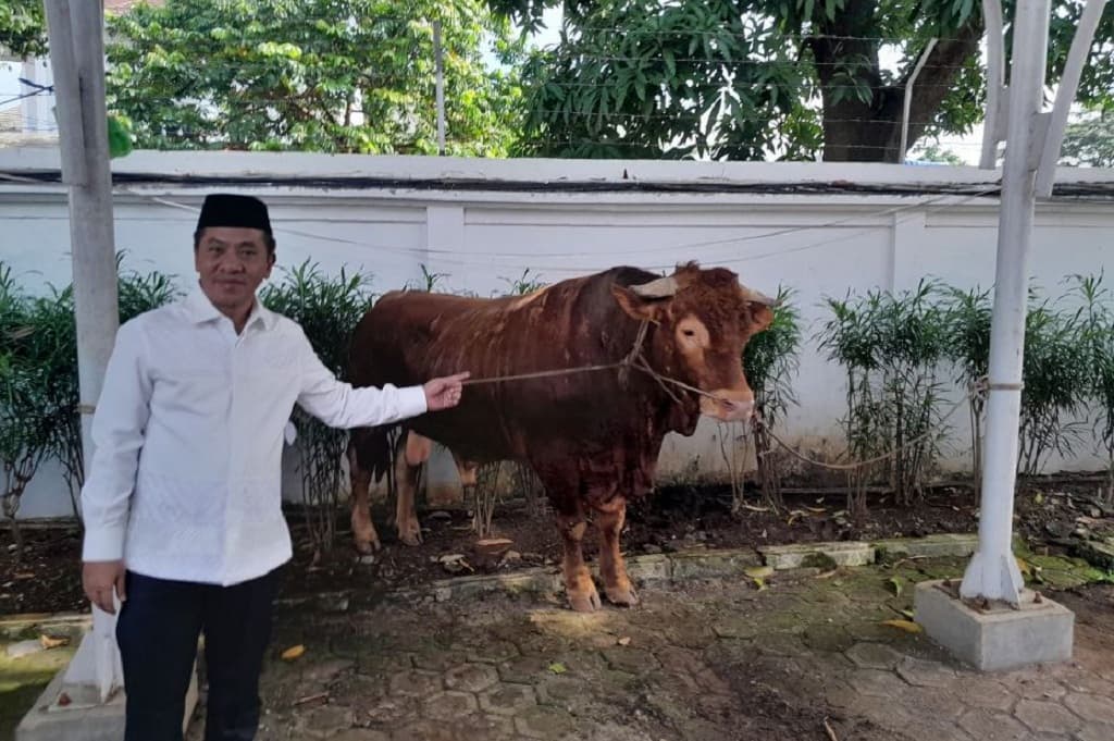 Penampakan Si Jalu, Sapi Kurban Presiden Prabowo Berbobot 1,2 Ton di Karawang Bikin Heboh Penampakan Si Jalu, Sapi Kurban Presiden Prabowo Berbobot 1,2 Ton di Karawang Bikin Heboh