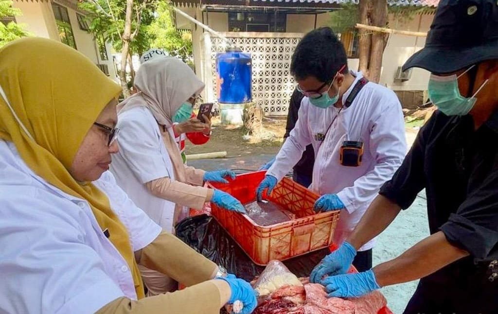 Tak Layak Konsumsi, 19 Kg Jeroan Hewan Kurban di Kepulauan Seribu Dimusnahkan Tak Layak Konsumsi, 19 Kg Jeroan Hewan Kurban di Kepulauan Seribu Dimusnahkan