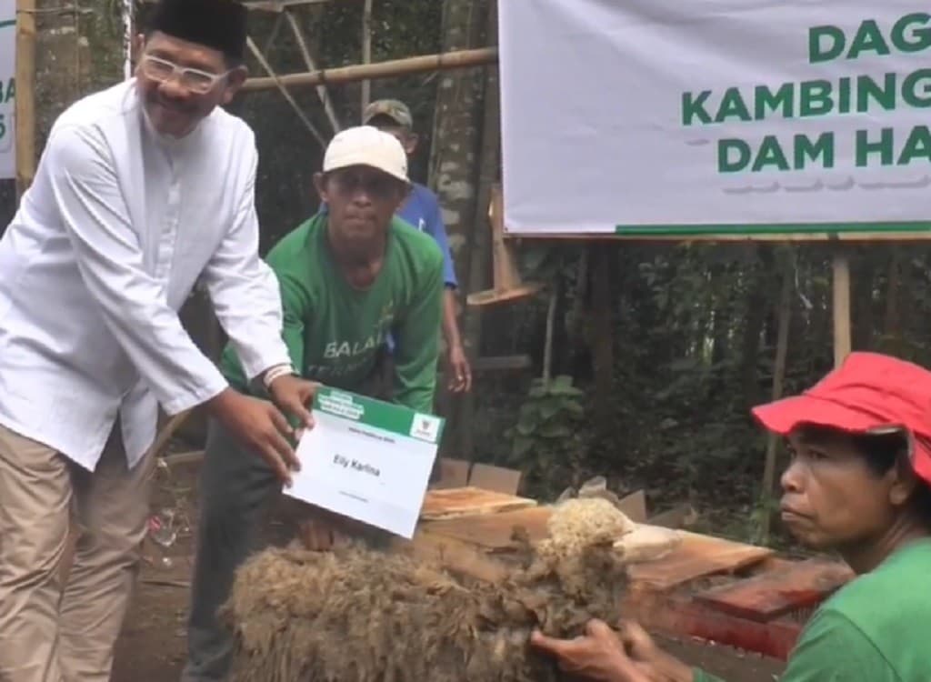 Baznas Salurkan 50 Ekor Kambing Kurban Dam Haji di Pemalang Baznas Salurkan 50 Ekor Kambing Kurban Dam Haji di Pemalang